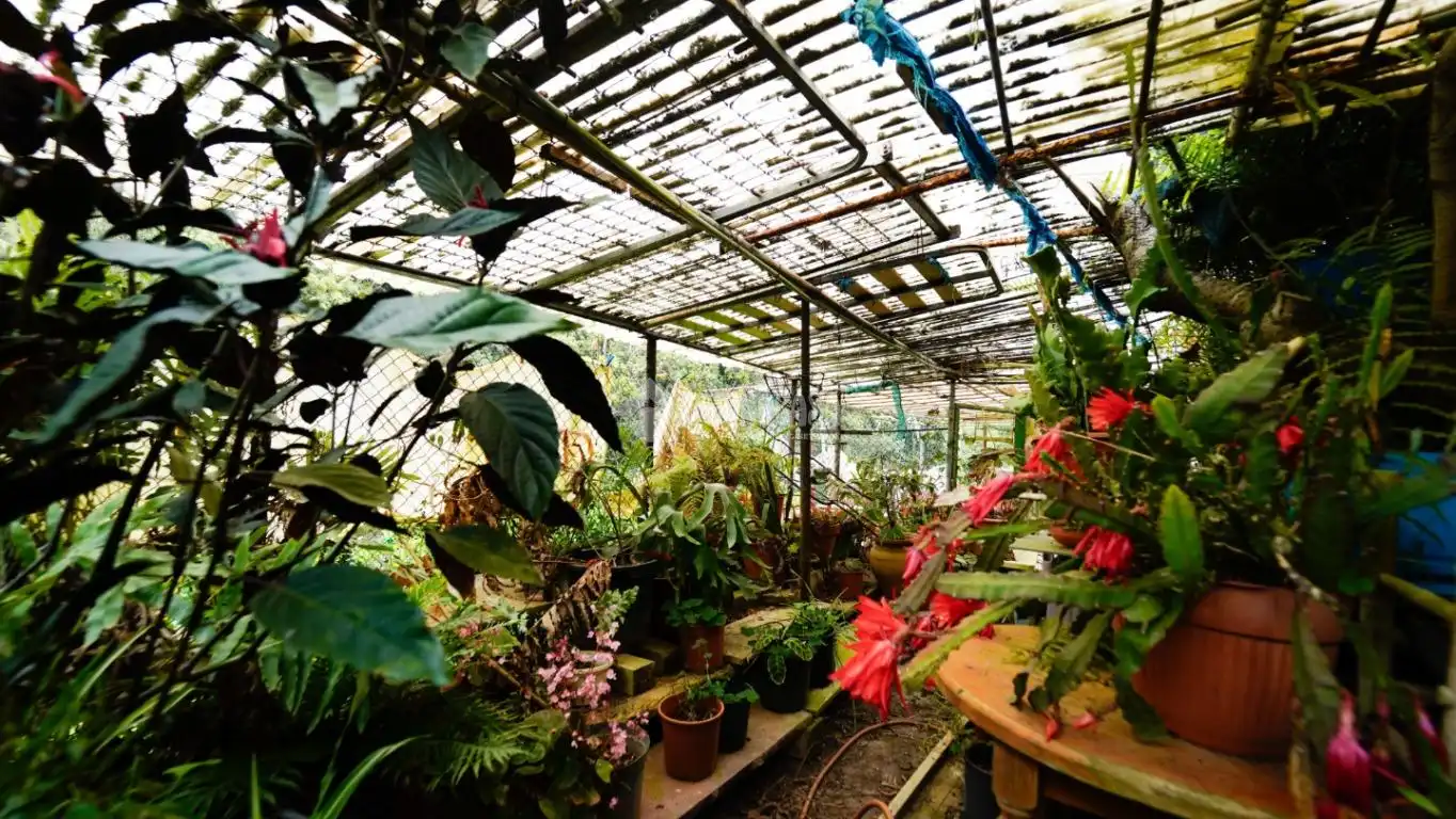 Jardín de Finca rústica en venta en Agulo