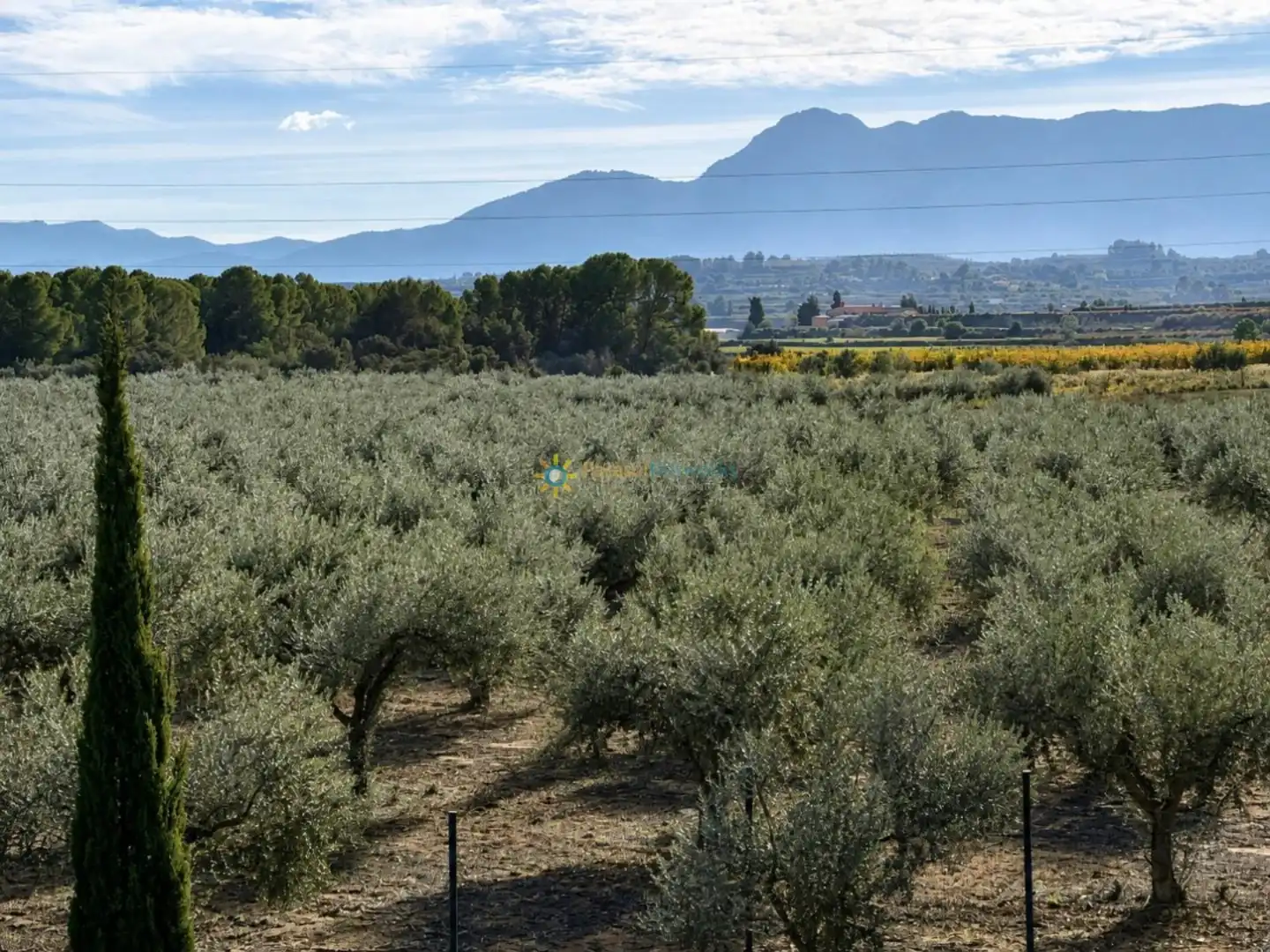 Finca rústica en venda en El Palomar amb Jardí privat, Terrassa i Traster
