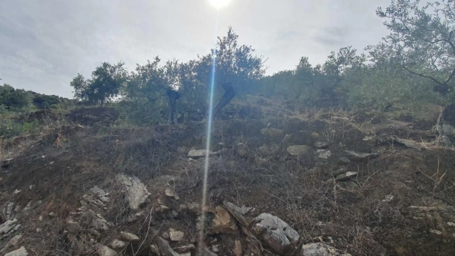 Residencial en venta en Yunquera