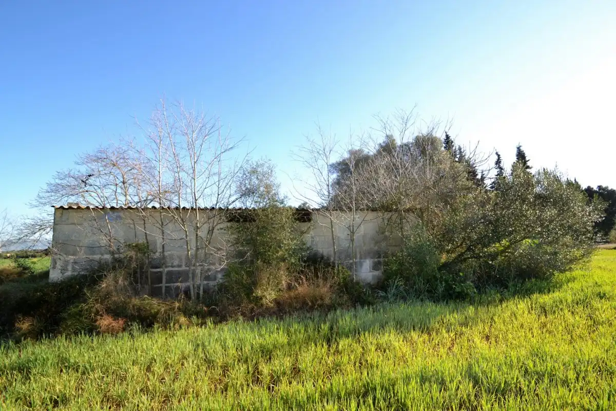 Maison rustique à vendre à Llubí, imagen 10