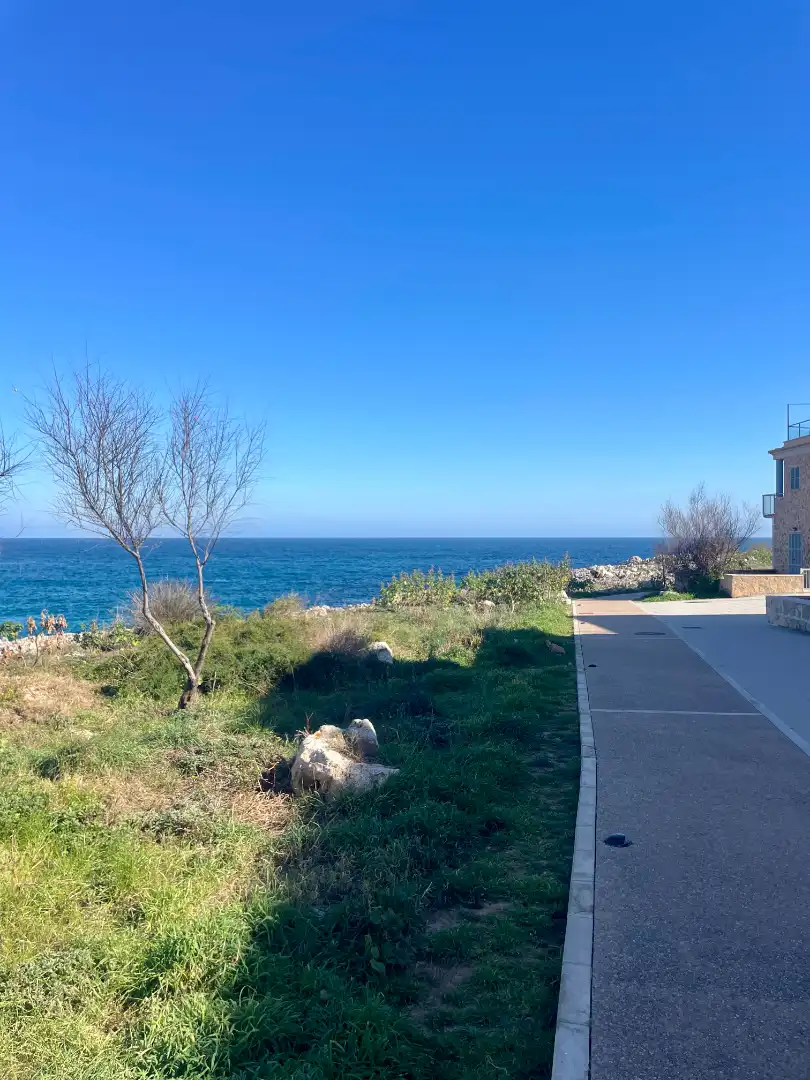 Detached homes for rent in S'Illot - Cala Morlanda