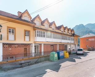 Exterior view of Apartment for sale in Somiedo