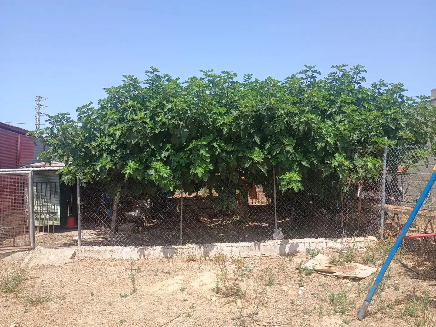 Chalet en venta en El Rompido, imagen 2