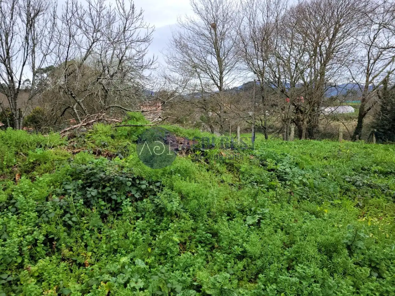 Terreni e lotti in vendita a Lugar Pereiro, imagen 9