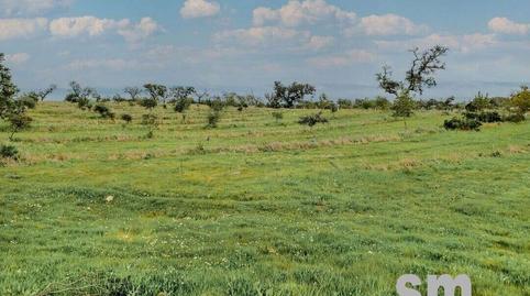 Photo 4 of Residential for sale in Paymogo, Huelva