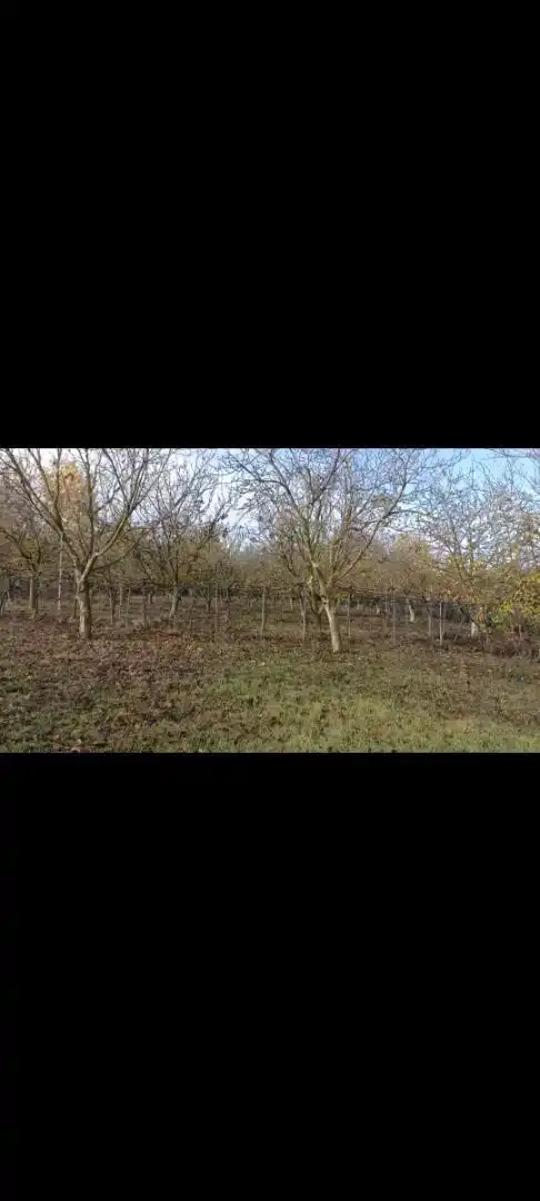 Terreno en venta en Pitillas