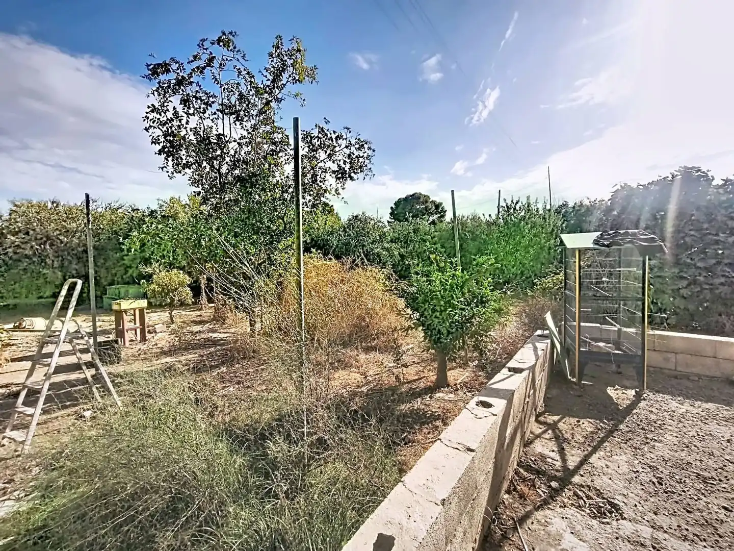 Casa rustica in vendita a Pechina, imagen 5
