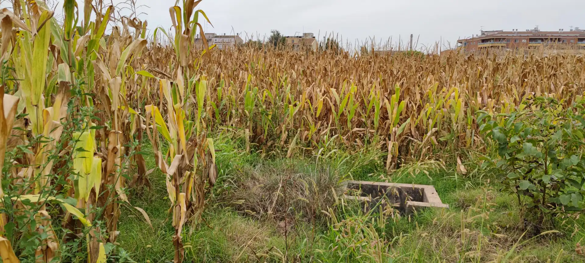 Residential land for sale in Camarasa-Sau4, imagen 5