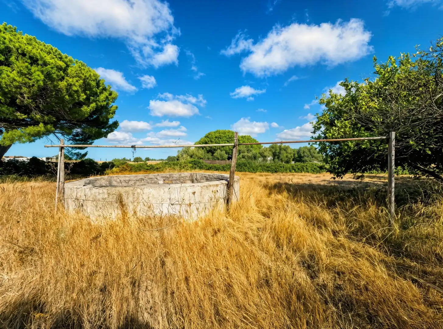 Rural land for sale in Pelagatos - Pago del Humo, imagen 16