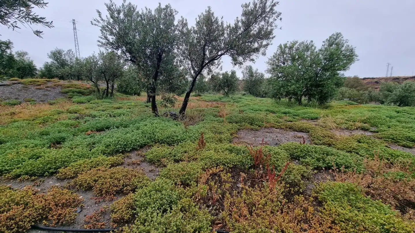 Country house with garden for sale in PARAJE PAGO DE OSCAYAR, imagen 33