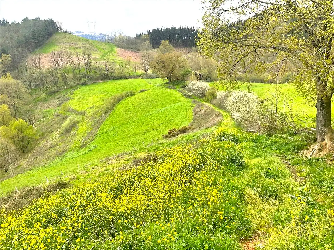 Residencial en venta en DISEMINADO - CASERIO ZELAUNDI, Albiztur