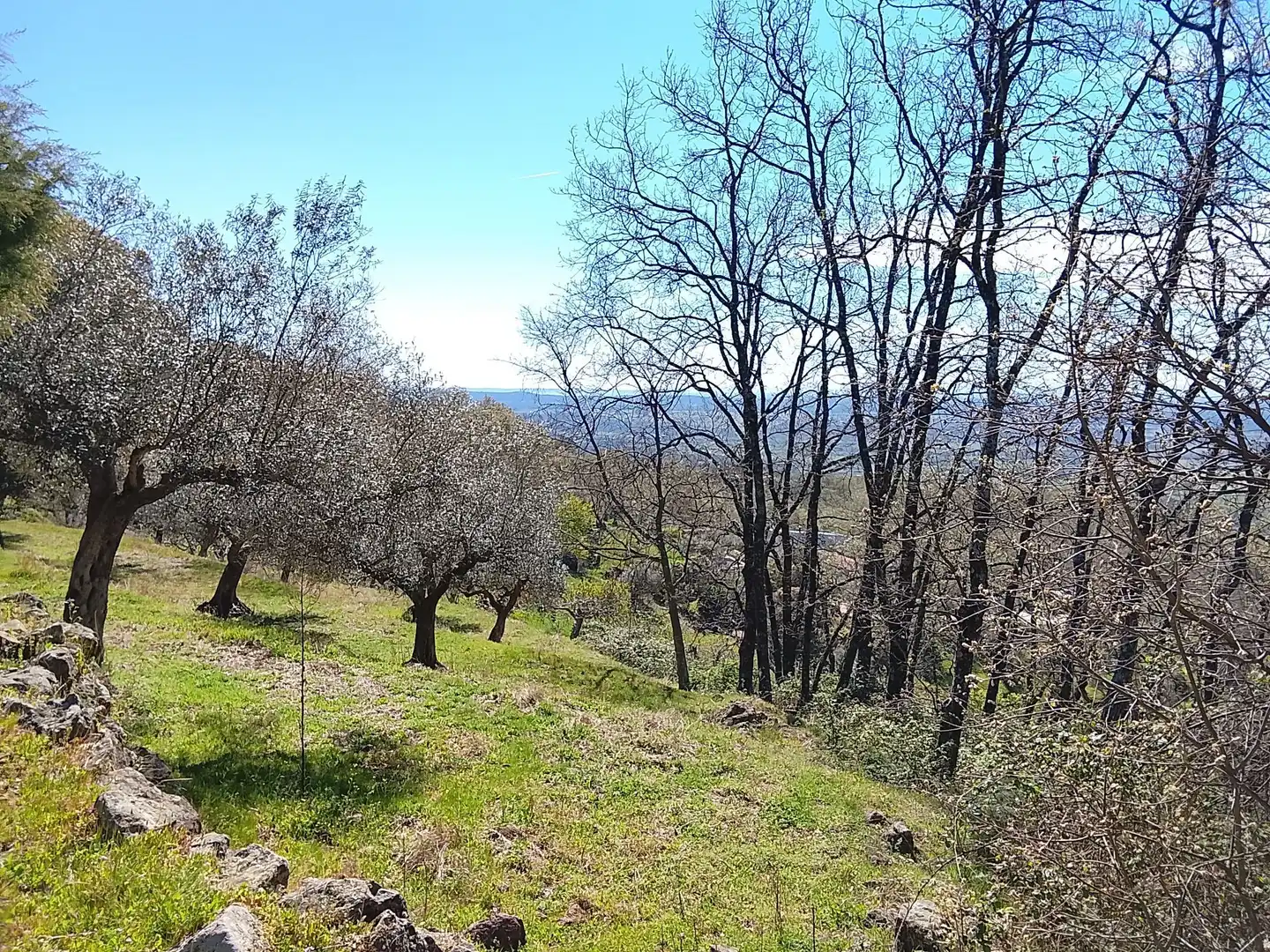 Terreni e lotti in vendita a Candeleda, imagen 64