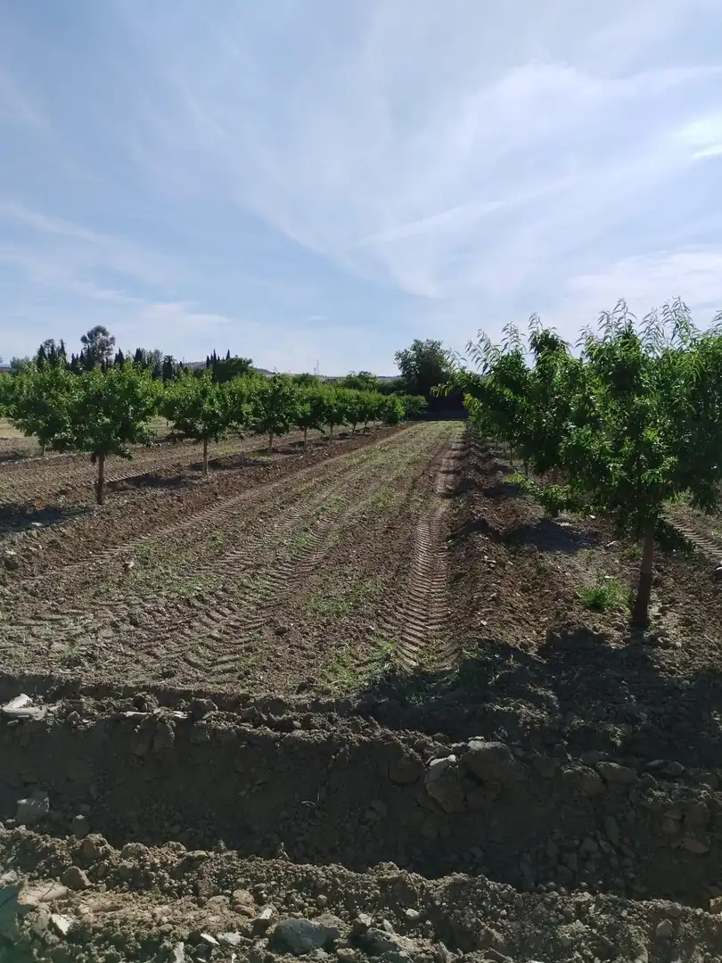 Terreni e lotti in vendita a Villa de Otura, imagen 22