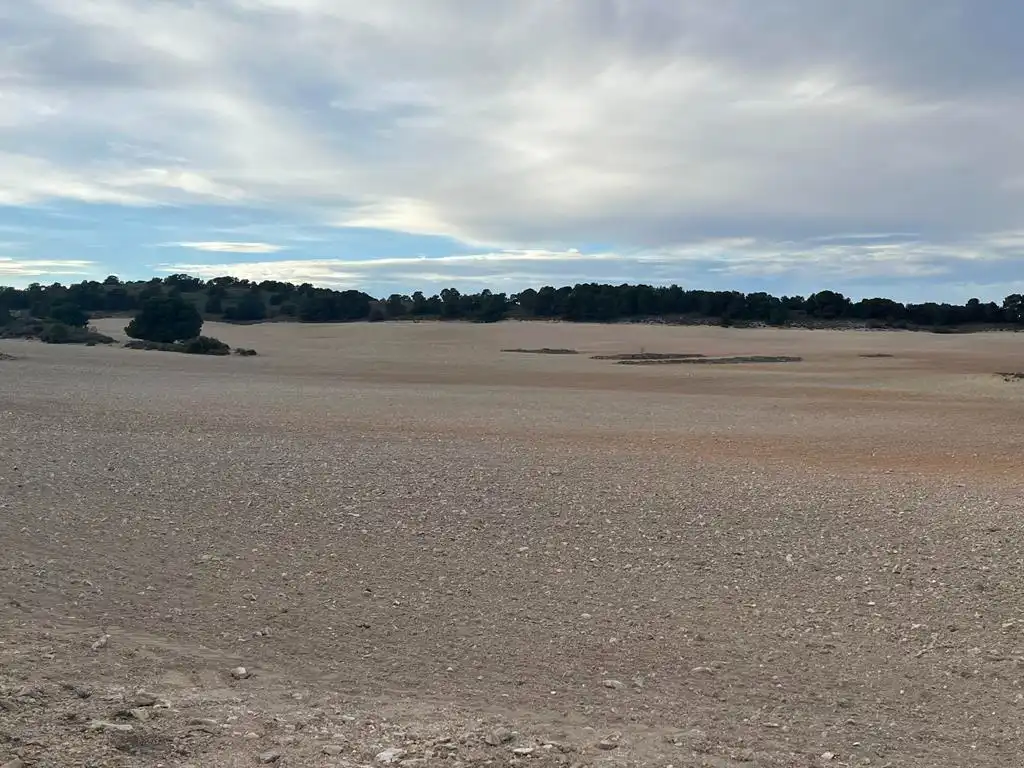 Terrenos y solares en venta en Hellín, imagen 13