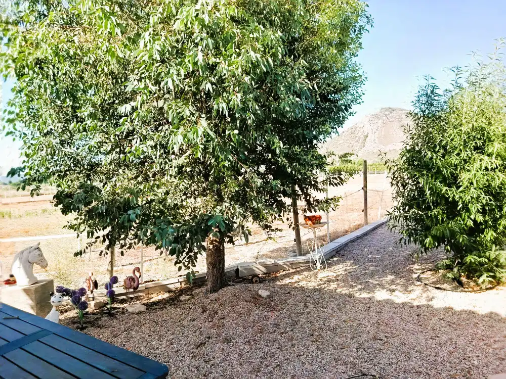Vista exterior de Piso en venta en Villena