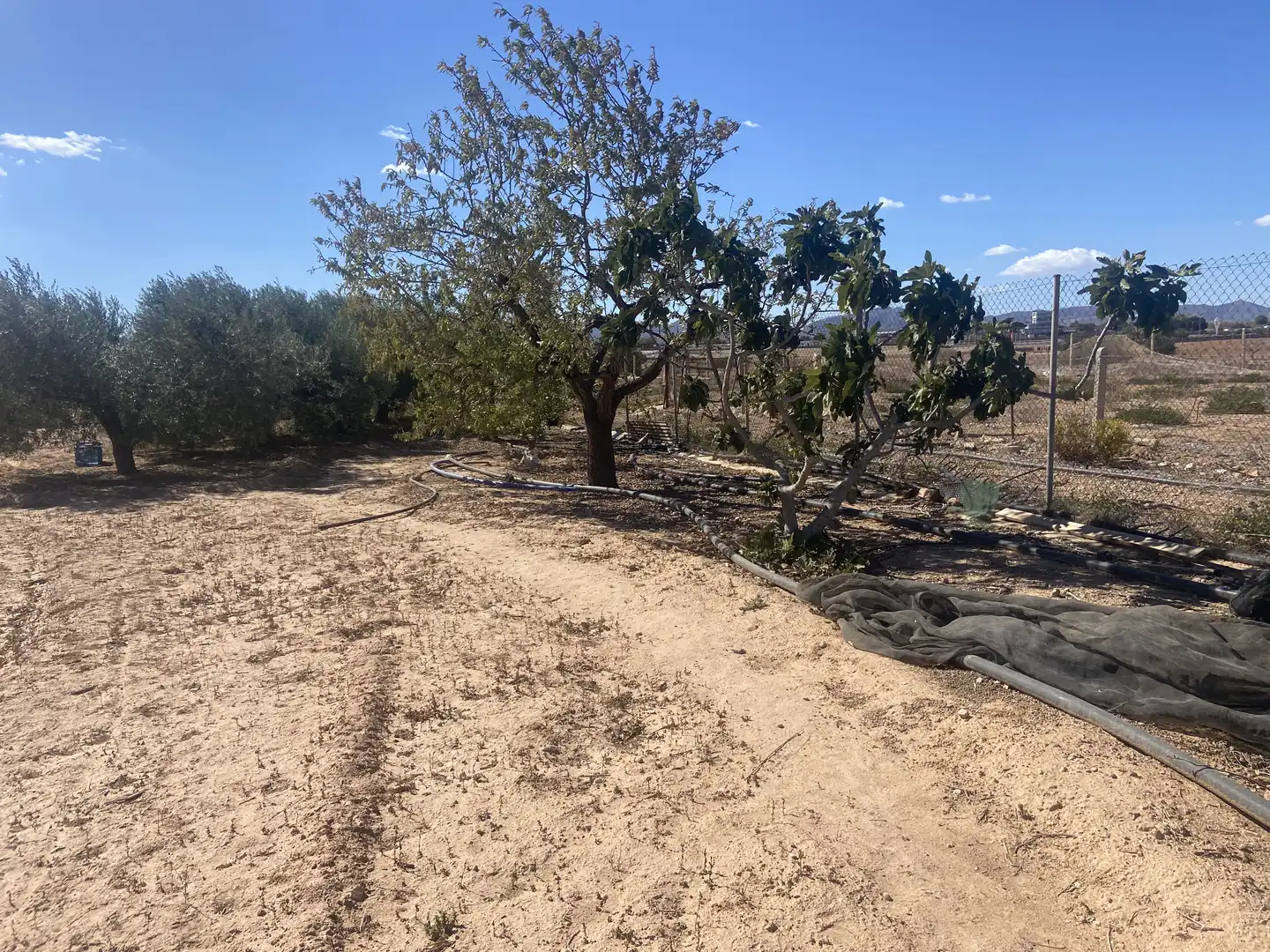 Land for sale in Cartagena
