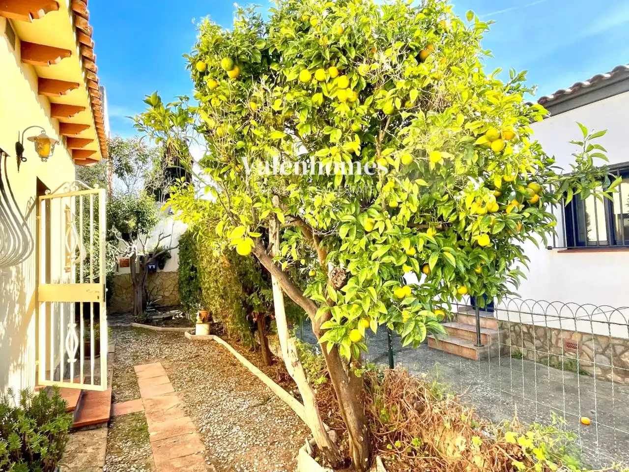 Houses for sale in Els Griells