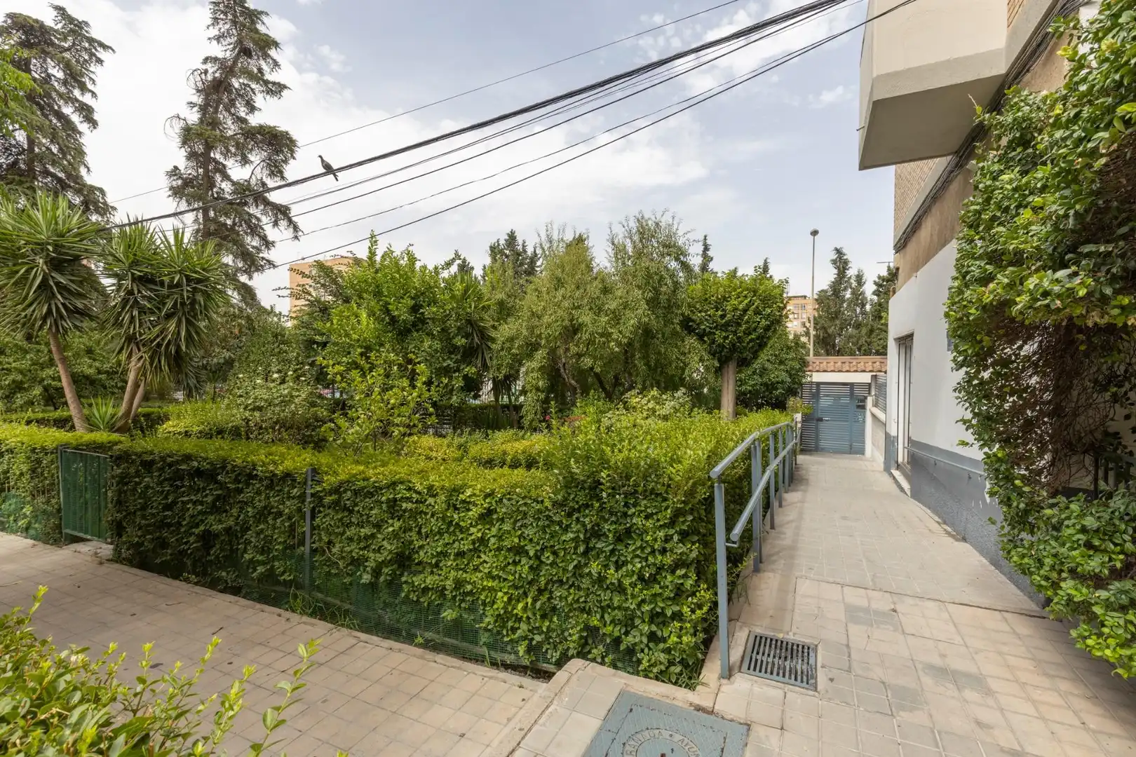 Vista exterior de Piso en venta en Granada con Terraza y Balcón