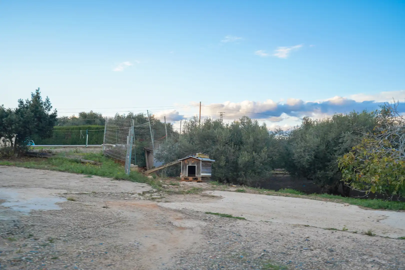 Villa mit Pool zum Verkauf in Avinguda de Catalunya, imagen 78