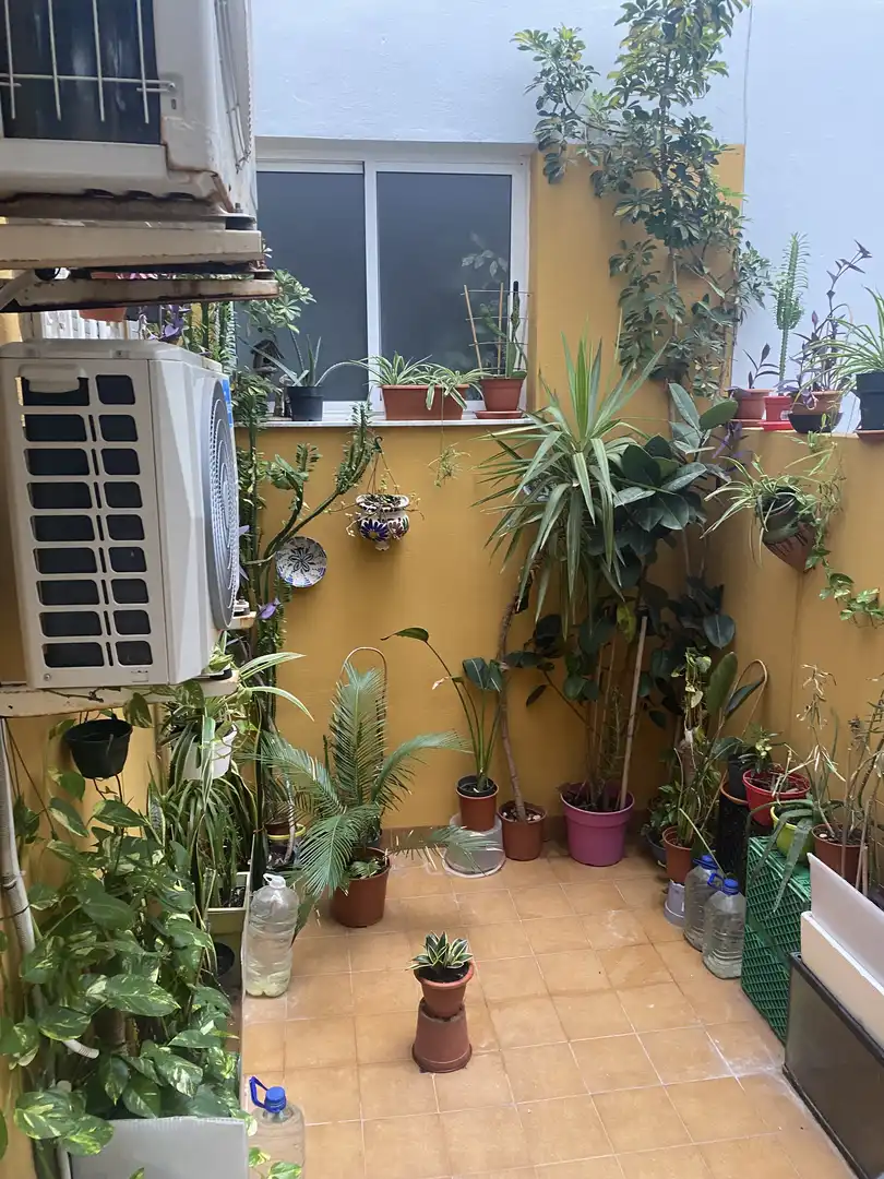 Appartamento con ascensore in vendita a El Ejido Ciudad, imagen 42