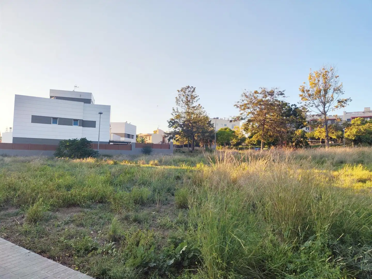 Terreno residencial en venta en Forca 41, imagen 4