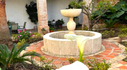 Foto 3 de Finca rústica en venda a Xàtiva, Valencia