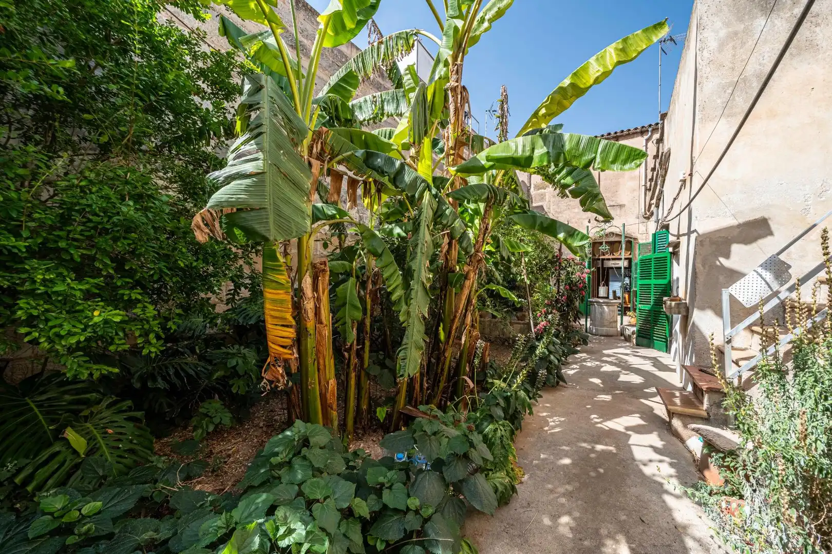Exterior view of Houses for sale in Manacor