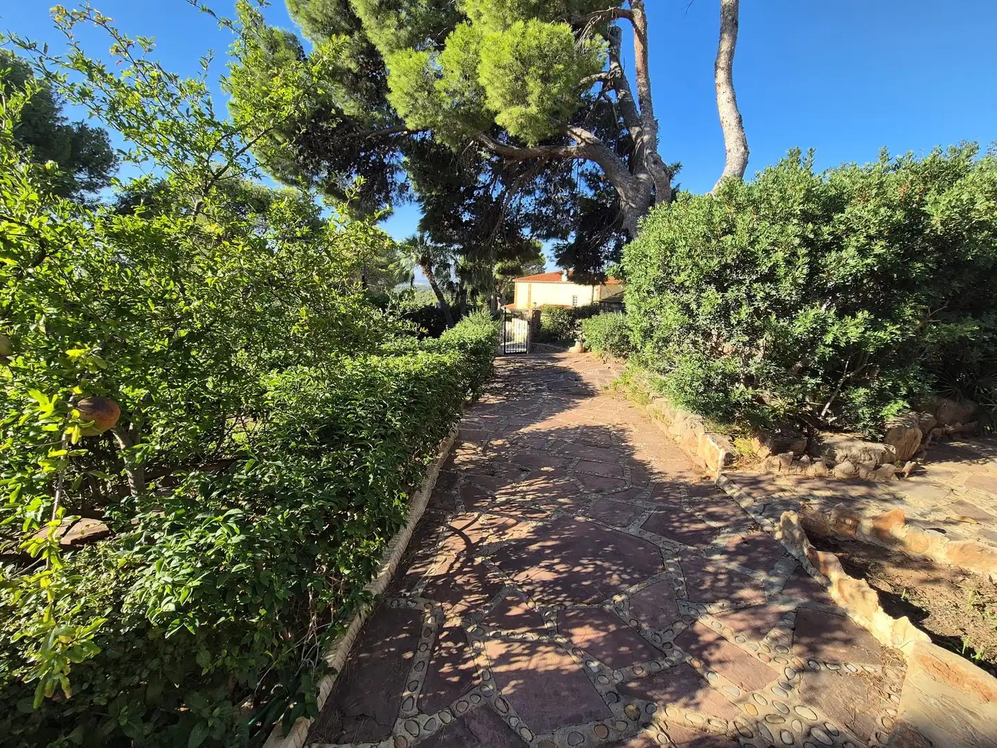 Casa o chalet en venta en Avenida Fuente del Oro, San Miguel - El Paraiso