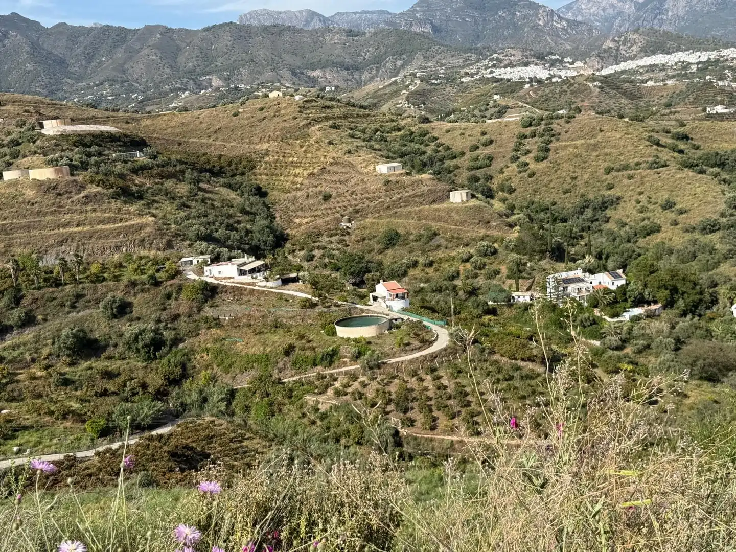 Terreni e lotti in vendita a Parcela PARCELA 309, POLIGONO 3, DEL PARAJE BARRANCO PÉREZ, imagen 7