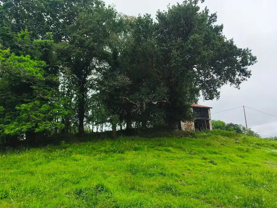 Casa en venta en Salas, imagen 70