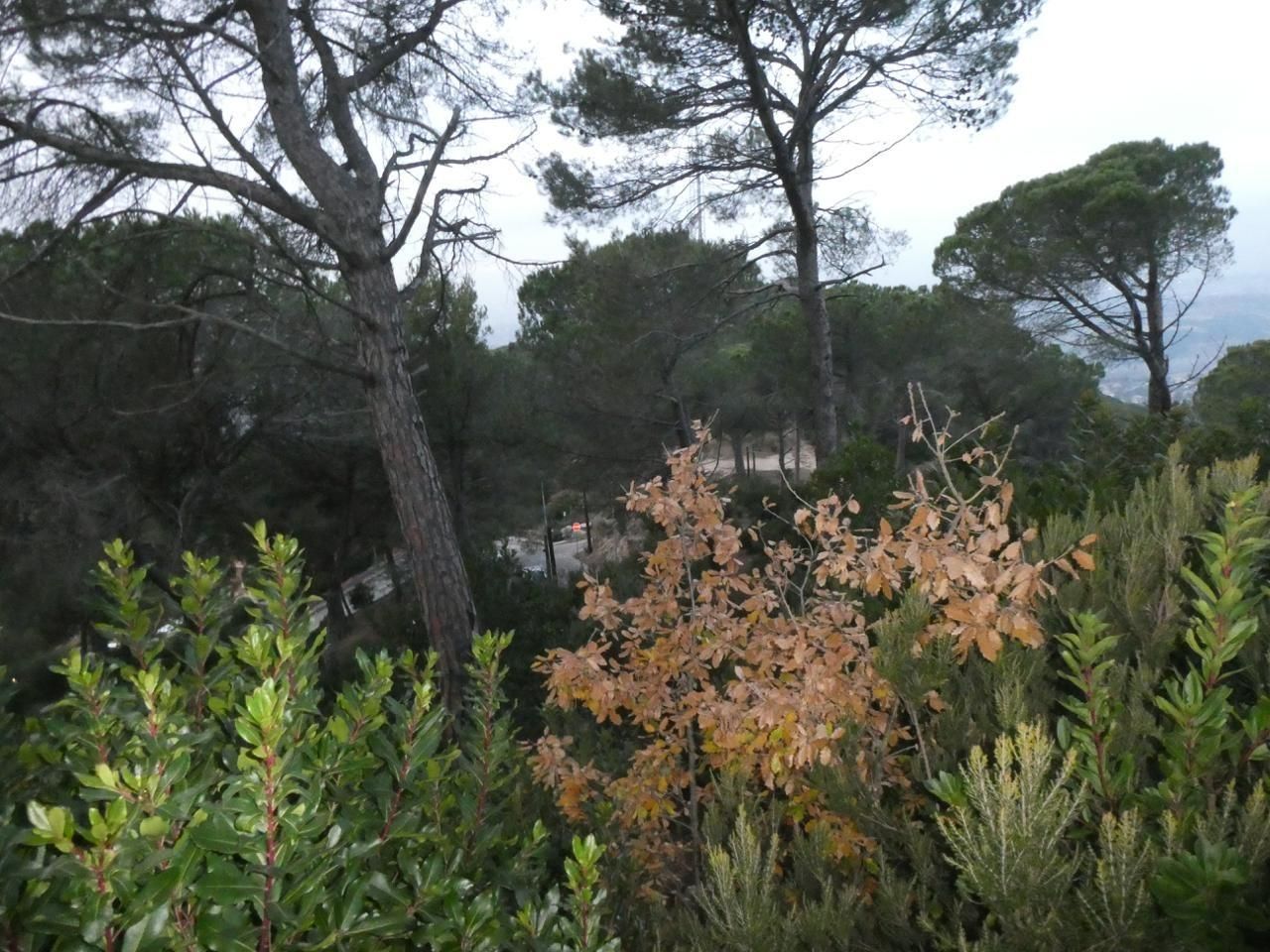 Jardín de Residencial en venta en Vilanova del Vallès