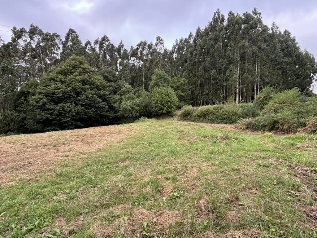 Landhaus mit Garten zum Verkauf in Ortigueira, imagen 10