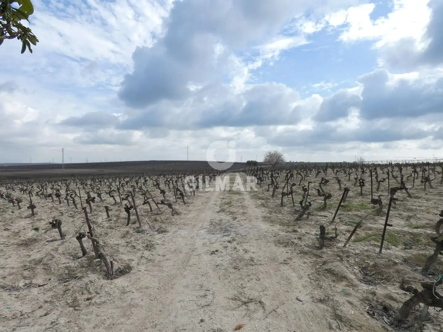 Rustikales Grundstück zum Verkauf in Ctra Jerez - Ctra del Puerto, imagen 5