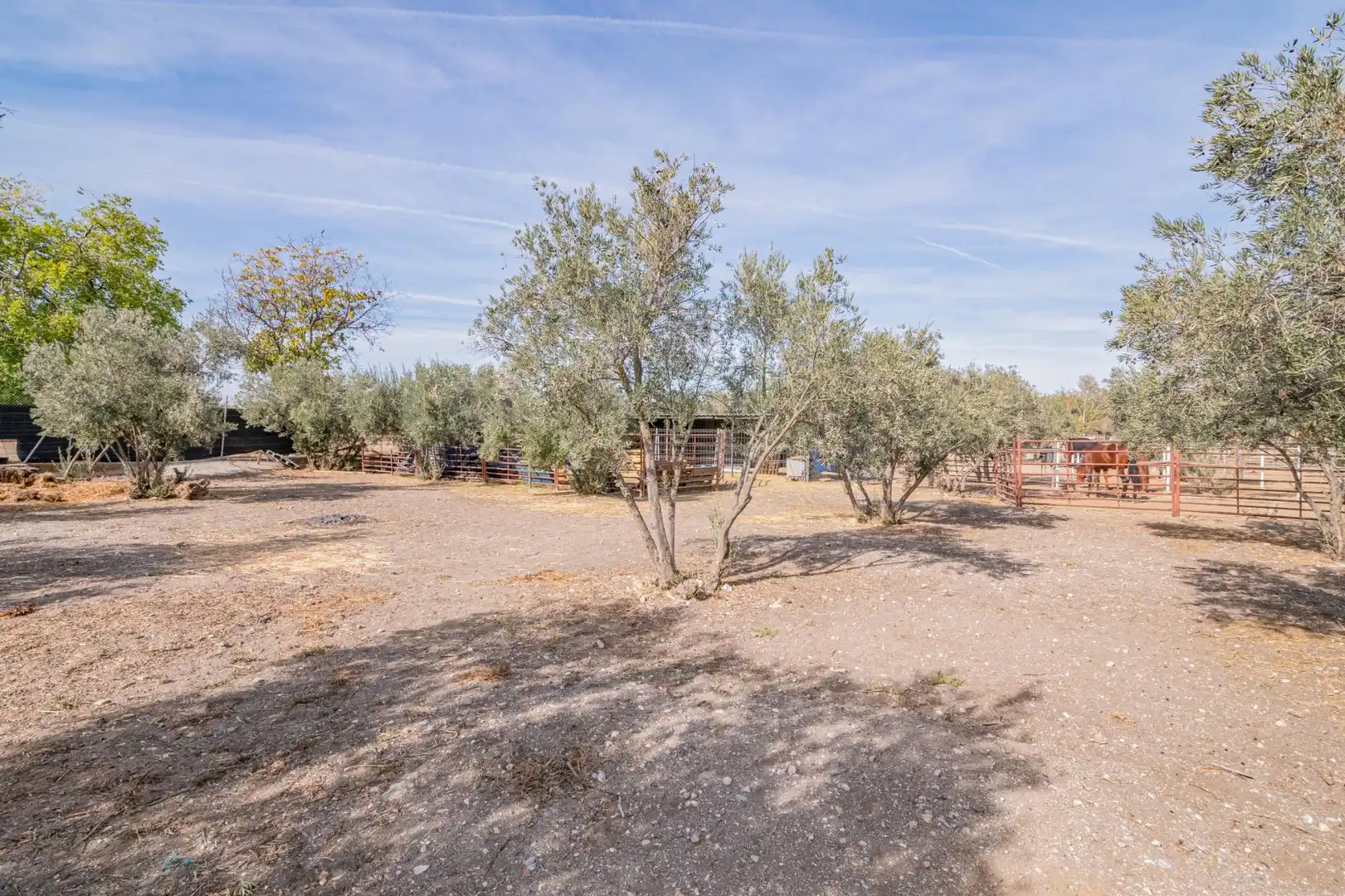 Finca rústica en venta en La Zubia