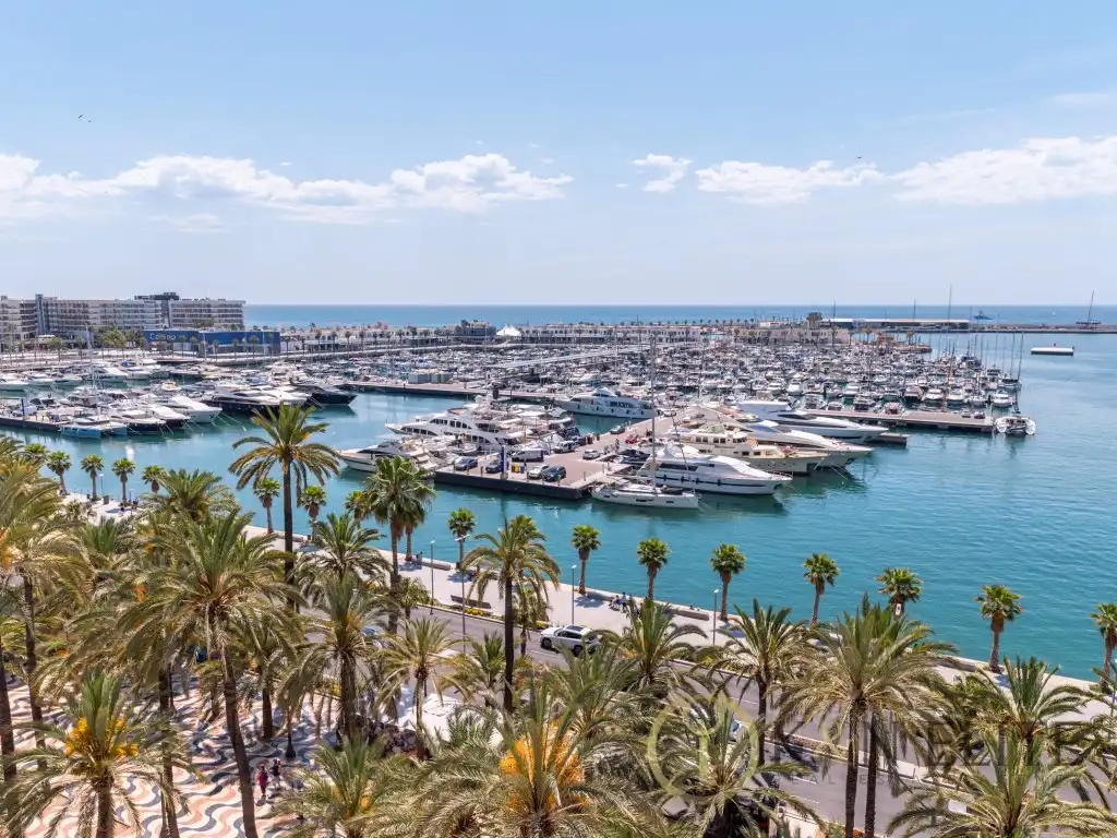 Exterior view of Attic for rent in Alicante / Alacant  with Air Conditioner and Terrace