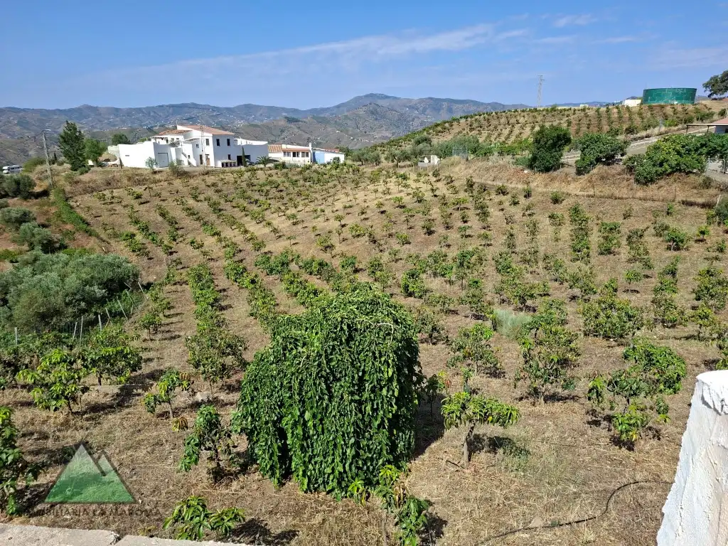 Vista exterior de Finca rústica en venta en Vélez-Málaga con Amueblado