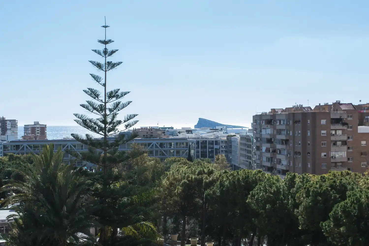 Exterior view of Flat for sale in Benidorm