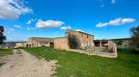 Photo 4 of Country house for sale in Petra, Illes Balears