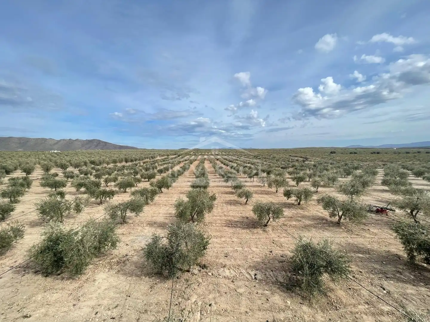 Terreno en venta en Uleila del Campo