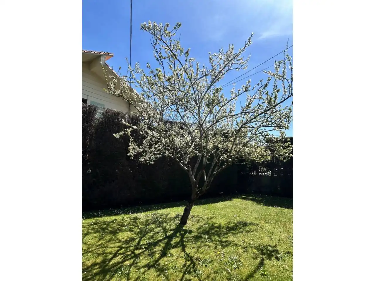 Garten von Haus oder Chalet zum Verkauf in Llanes mit Heizung, Privatgarten und Terrasse