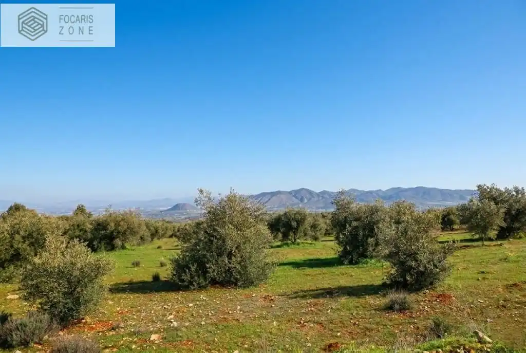 Terreno rustico in vendita a Polígono Alhaurín el Grande, imagen 3
