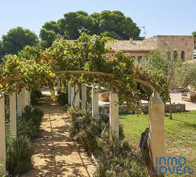 Jardín de Casa o chalet en venta en Mutxamel con Jardín privado, Terraza y Piscina