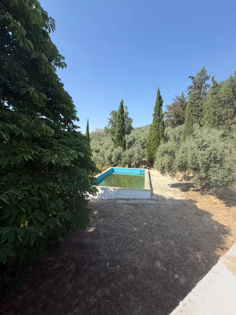 Piscina de Finca rústica en venta en Los Villares con Terraza, Trastero y Piscina