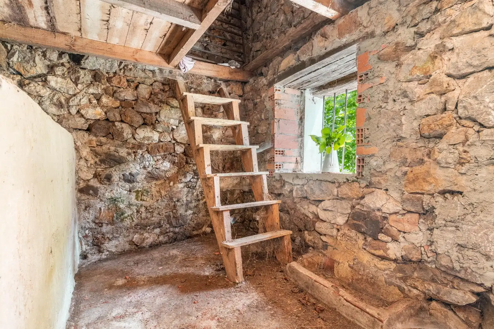 Terreno en venta en Peñamellera Alta