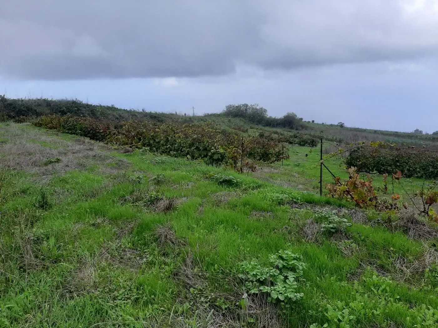 Terreny rústic en venda a CRUZ DE LEANDRO, imagen 20