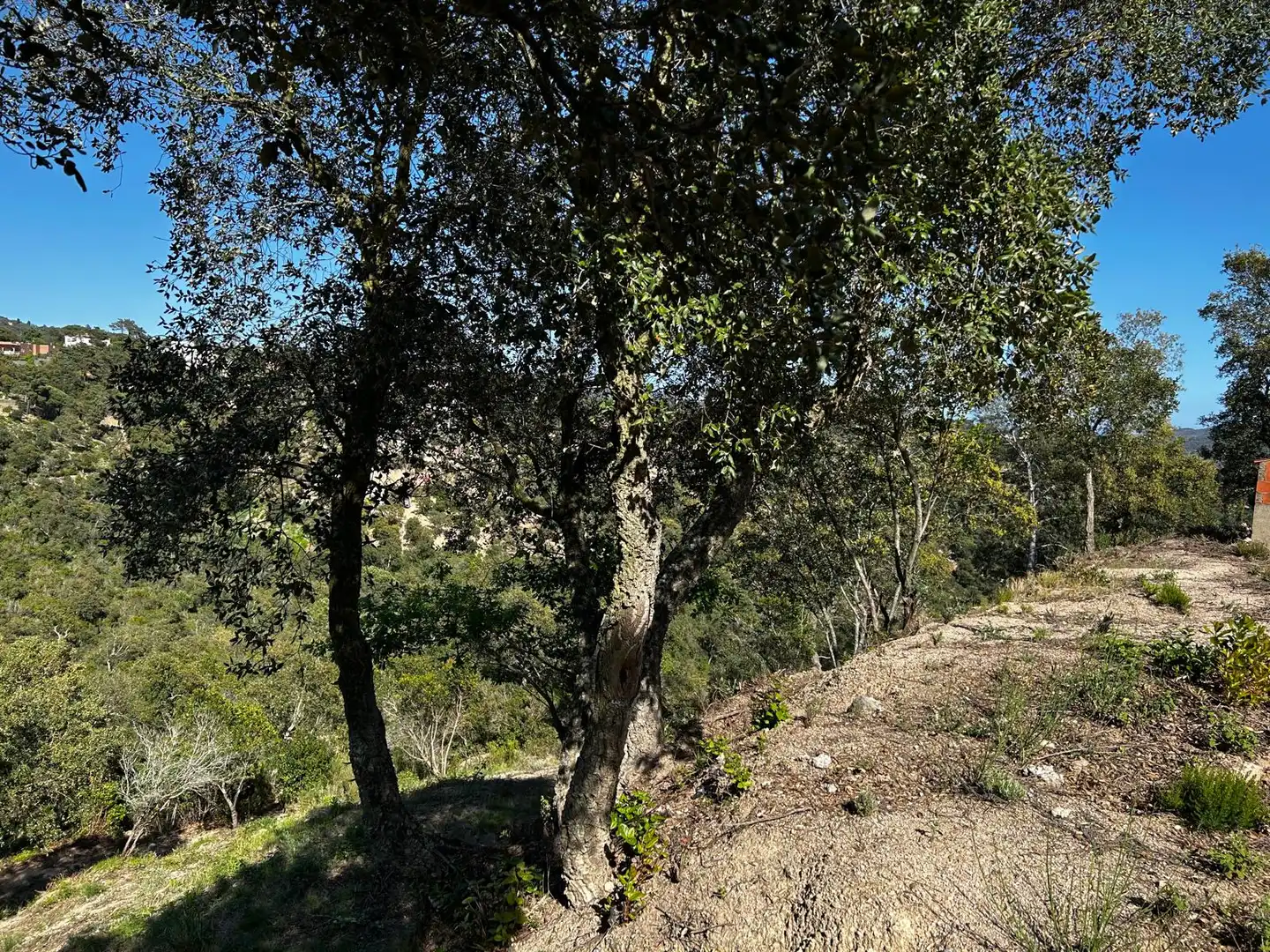 Wohnbaugrundstück zum Verkauf in Lloret Residencial - Montlloret, imagen 11