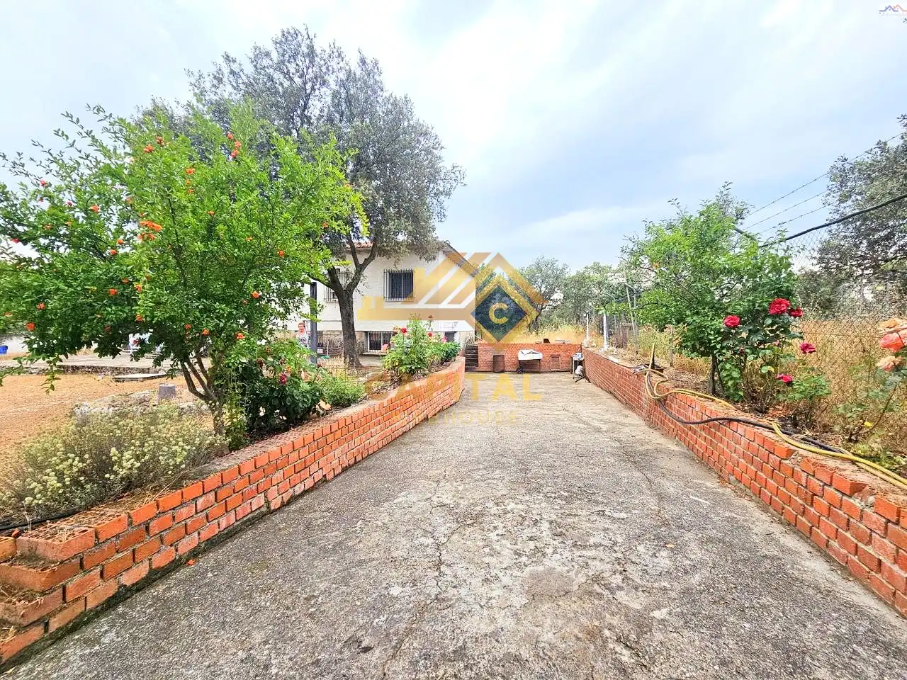 Jardí de Casa o xalet en venda en Villa del Prado amb Traster i Piscina