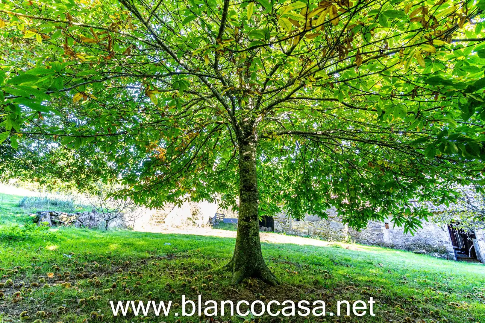 Casa con giardino in vendita a A Laracha, imagen 4