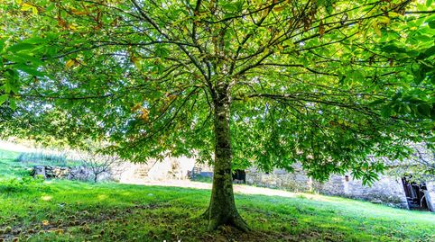 Foto 4 de Casa o chalet en venta en A Laracha , A Coruña