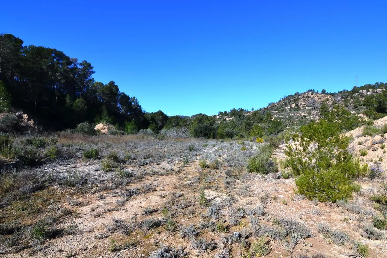 Rural land for sale in Ascó, imagen 17